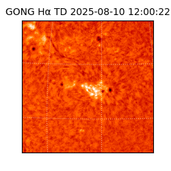 gong - 2025-08-10T12:00:22