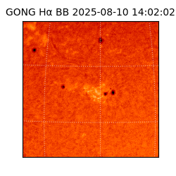 gong - 2025-08-10T14:02:02