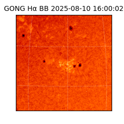 gong - 2025-08-10T16:00:02