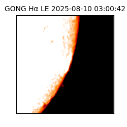 gong - 2025-08-10T03:00:42