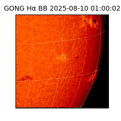 gong - 2025-08-10T01:00:02