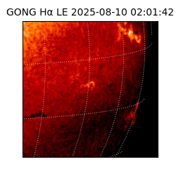 gong - 2025-08-10T02:01:42