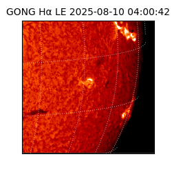 gong - 2025-08-10T04:00:42