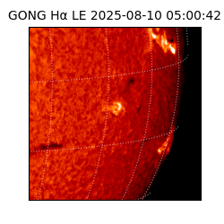 gong - 2025-08-10T05:00:42