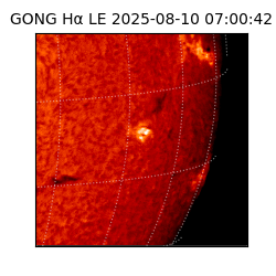 gong - 2025-08-10T07:00:42