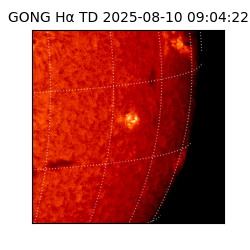 gong - 2025-08-10T09:04:22