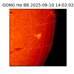 gong - 2025-08-10T14:02:02