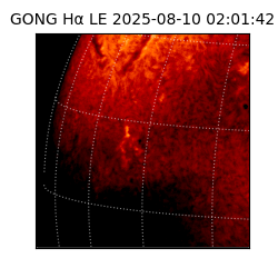 gong - 2025-08-10T02:01:42