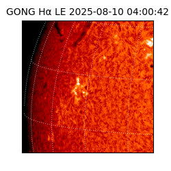 gong - 2025-08-10T04:00:42
