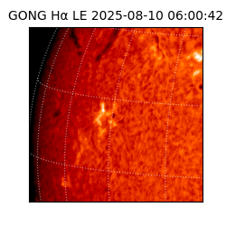 gong - 2025-08-10T06:00:42