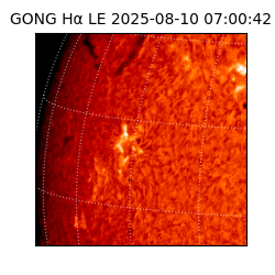 gong - 2025-08-10T07:00:42