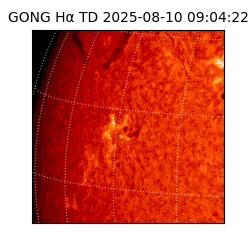 gong - 2025-08-10T09:04:22