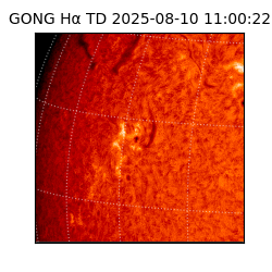 gong - 2025-08-10T11:00:22