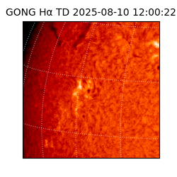 gong - 2025-08-10T12:00:22