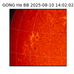 gong - 2025-08-10T14:02:02