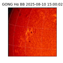 gong - 2025-08-10T15:00:02