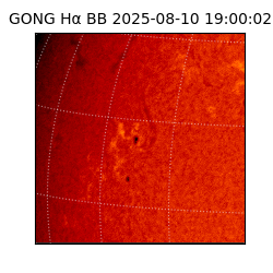 gong - 2025-08-10T19:00:02