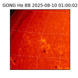 gong - 2025-08-10T01:00:02