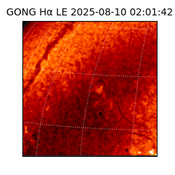 gong - 2025-08-10T02:01:42