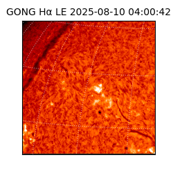 gong - 2025-08-10T04:00:42