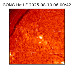 gong - 2025-08-10T06:00:42