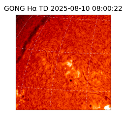 gong - 2025-08-10T08:00:22