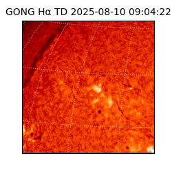 gong - 2025-08-10T09:04:22