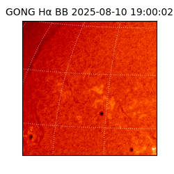 gong - 2025-08-10T19:00:02