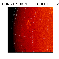 gong - 2025-08-10T01:00:02