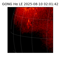 gong - 2025-08-10T02:01:42
