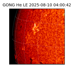 gong - 2025-08-10T04:00:42