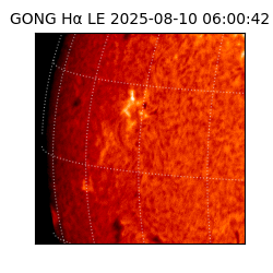 gong - 2025-08-10T06:00:42