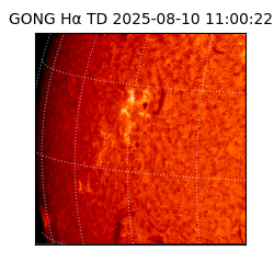 gong - 2025-08-10T11:00:22