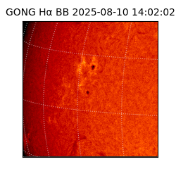 gong - 2025-08-10T14:02:02