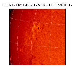 gong - 2025-08-10T15:00:02