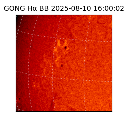 gong - 2025-08-10T16:00:02