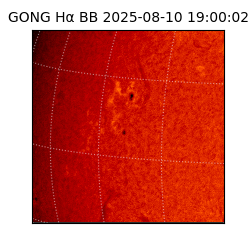 gong - 2025-08-10T19:00:02