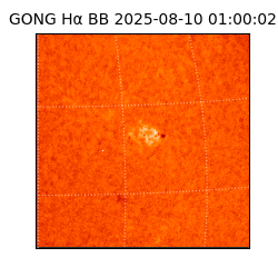 gong - 2025-08-10T01:00:02