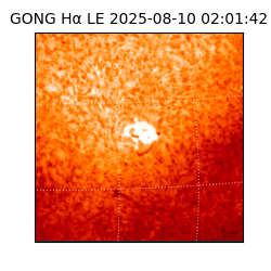 gong - 2025-08-10T02:01:42