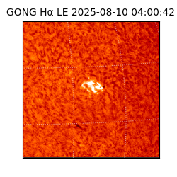 gong - 2025-08-10T04:00:42