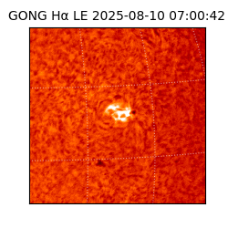 gong - 2025-08-10T07:00:42