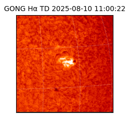 gong - 2025-08-10T11:00:22