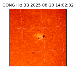 gong - 2025-08-10T14:02:02