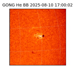 gong - 2025-08-10T17:00:02