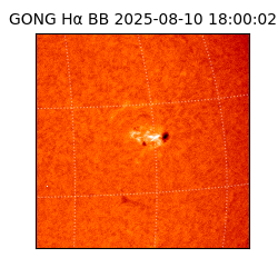 gong - 2025-08-10T18:00:02