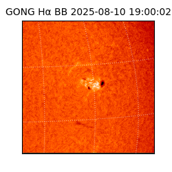 gong - 2025-08-10T19:00:02