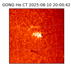 gong - 2025-08-10T20:00:42