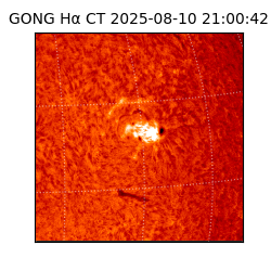 gong - 2025-08-10T21:00:42