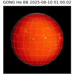 gong - 2025-08-10T01:00:02