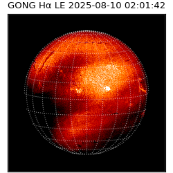 gong - 2025-08-10T02:01:42